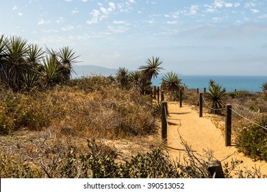 Torrey Pines State Reserve In California