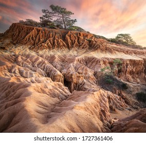 Torrey Pines State Reserve Landscape In California