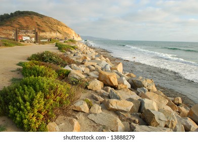 Torrey Pines State Reserve; San Diego, California