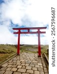 Torri gate in mountains in Hakone, Japan.