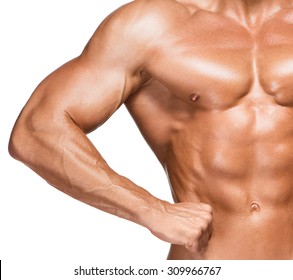 Torso Of Male Body Builder, Isolated On White Background