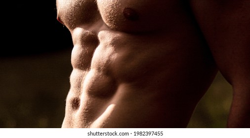 Torso Six Packs Attractive. Six Pack Abs. Strong Man With Torso. Sexy Muscular Man. Sensual Mans Body, Abc. Torso With Six Packs Looks Attractive On Black Background. 