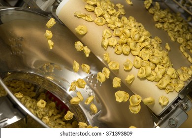 Tortellini Pasta Production Line. Running On Conveyor Belt