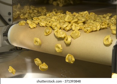 Tortellini Pasta Production Line. Running On Conveyor Belt