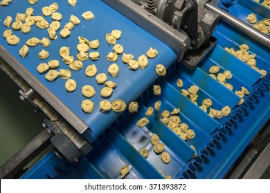 Tortellini Pasta Production Line. Running On Conveyor Belt