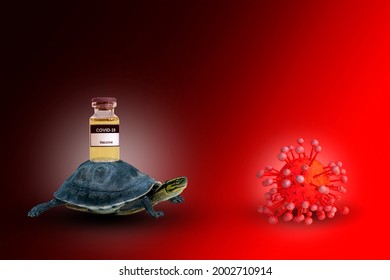 Tortoise Carrying Coronavirus Covid-19 Vaccine In Bottle To Destruction Virus Model On Concept Delay Or Slow Transportation Management