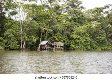 Tortuguero River In Costa Rica