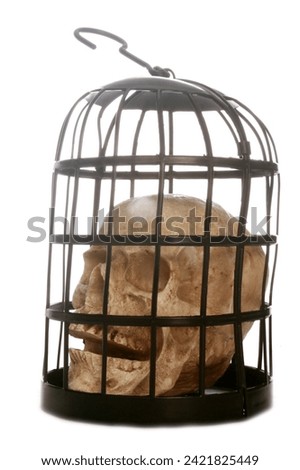 Torture Device. Medieval Punishment. Dead. Decapitated Human. Death.  Halloween Skull in a Metal Torture Bird Cage. Isolated on white. Room for text. Medieval Torture Device with a Human Skull inside.