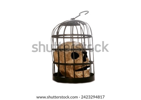 Torture Device. Medieval Punishment. Dead. Decapitated Human. Death.  Halloween Skull in a Metal Torture Bird Cage. Isolated on white. Room for text. Medieval Torture Device with a Human Skull inside.
