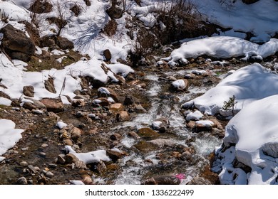 Tosh, Himachal Pradesh, India