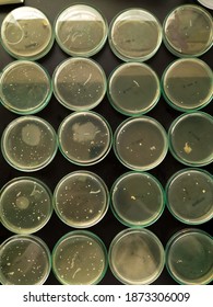 Total Aerobic Microbial Count In TSA Agar