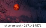 A total lunar eclipse, in which the Moon appears red. The Earth passes between the Sun and the Moon, leaving the Moon completely in the shadow of the Earth.