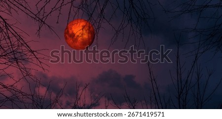 A total lunar eclipse, in which the Moon appears red. The Earth passes between the Sun and the Moon, leaving the Moon completely in the shadow of the Earth.