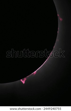Total solar eclipse close up of solar flares