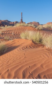 Totem Tracks - A Roadrunner Bird Has Left Its Tracks In The Sand Dune Ripples Leading Up To The Totem Pole Monument Spire In Monument Valley, Utah.