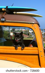 A Toto-like Dog In A Woody Station Wagon With Surfboards On Top In Santa Barbara, California.