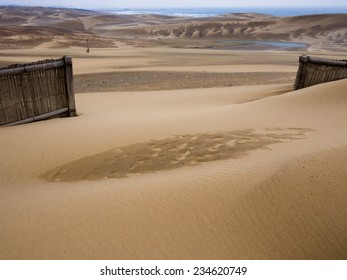 Tottori Sand Dunes