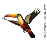 The toucan is a striking and colorful bird known for its impressive, oversized beak and vibrant plumage. 