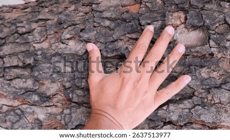 Touch of hand on the surface of tree bark. Love of trees. Contact with natural life. Horizontal Photo.
