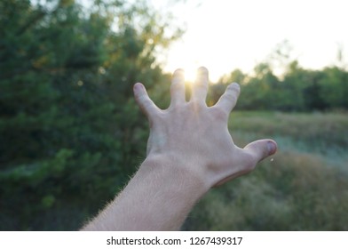 touch the sun
