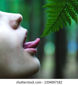 Touching The Leaf By Tounge