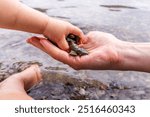 A touching moment of a parent and child collecting pebbles by the water in Waterton, Alberta. This image captures family, nature, and exploration.