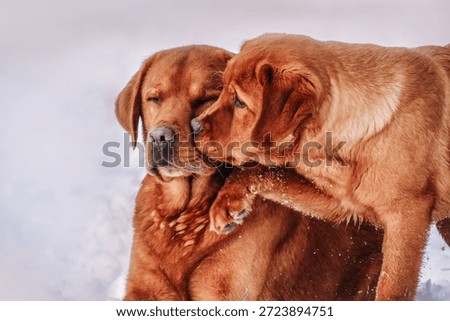 Touching relationships between daddy and son