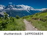 The Tour du Mont Blanc trail, TDMB, leading across lush green mountain meadow with full view of the snow covered Mont Blanc massif in summer in the Chamonix valley in France