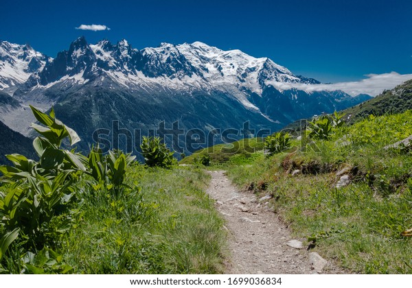 Tour Du Mont Blanc Trail Tdmb Stock Photo Edit Now 1699036834