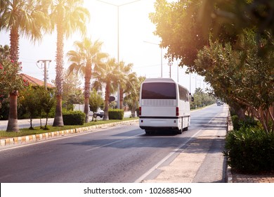 Tour of tourist bus leaves through warm country, sun, palm trees, hot. Concept car rest, trip