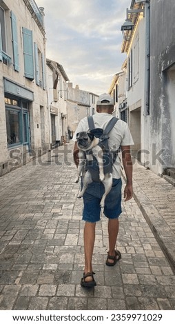 Touring and strolling with the dog inside the backpack