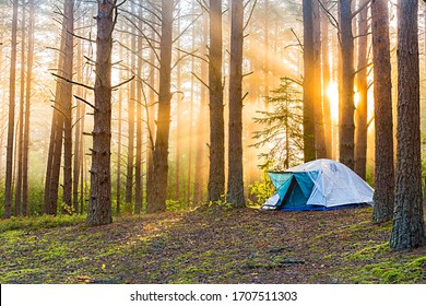 Tourism concept. Dawn in a foggy forest with a lonely tent. Man lives in the forest