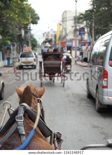 Tourism travel in Thailand on\
horse carriage in the city with traffic and car around,Behind back\
of horse carriage on the road in Thailand at Lampang December\
2018.