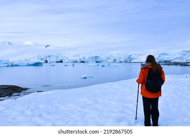 Tourist In Antarctica Looking At Massive Glaciers And Icebergs In A Cove On The Antarctic Peninsula After A Hike.