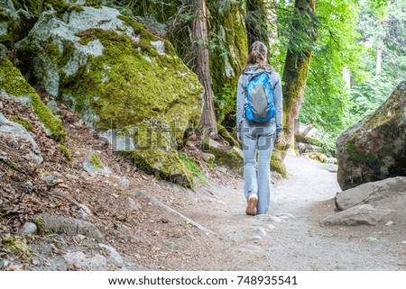 Similar – Image, Stock Photo Yosemite National Park Overlooking the Half Dome