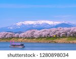 
Tourist boat and row of Cherry blossom with snowcovered Mt. Zao in background along bank of Shiroishi river in Funaoka Castle Park, Miyagi, Japan. Text on boat flag means Hanami (flower viewing) boat