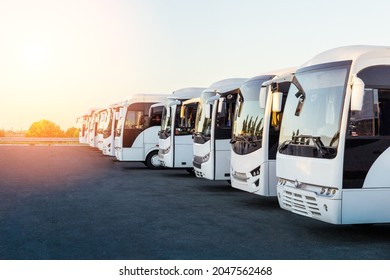 Tourist buses on parking at sunrise or sunset.