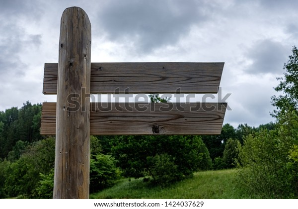 tourist\
direction signs in forest made of wood\
planks