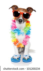 tourist dog with hawaiian  lei and shades