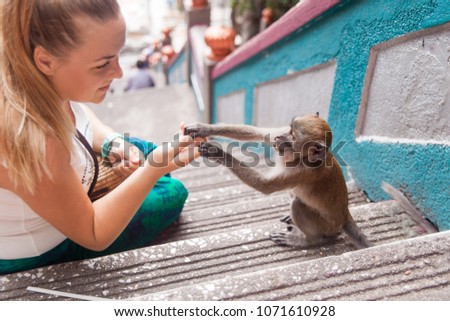 The tourist feeds the monkey. hungry monkey. 