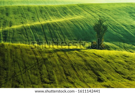 Similar – beautiful hills at sunset