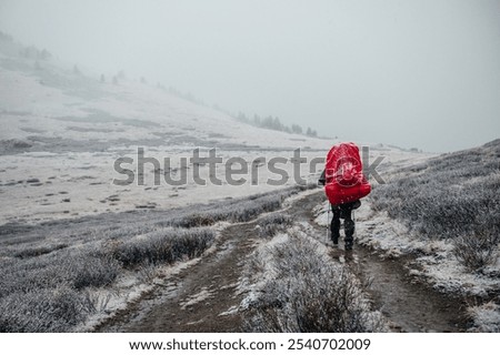 Similar – Image, Stock Photo Backpacker walks through the colourful autumn forest in the Hoge Kempen National Park in eastern Belgium. Wilderness in Flanders in November