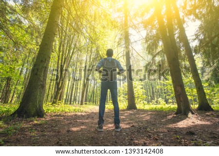 Similar – Image, Stock Photo forest light Healthy