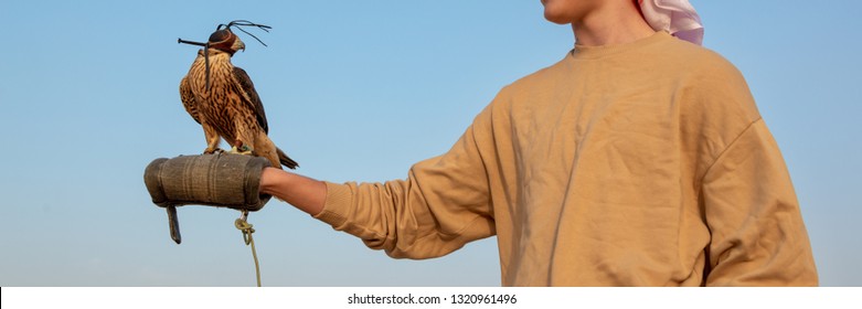 Tourist holding a falcon with a leather hood. Falconry show in the desert near Dubai, United Arab Emirates - Powered by Shutterstock