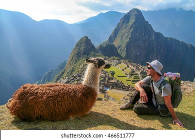 Tourist and llama sitting in front of Machu Picchu, Peru - Shutterstock ID 466511777