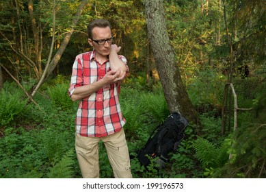 A Tourist Lost In The Woods Fighting The Angry Mosquitoes. 