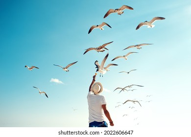 Tourist Man Feeding Flock Of Seagulls On Playa Del Carmen Beach, Mexico. Back View Of Young Male With Straw Hat, Gives Nachos To Flying Seabirds