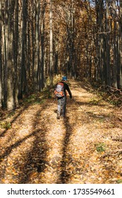 Tourist Man Hiking In Autumn Forest