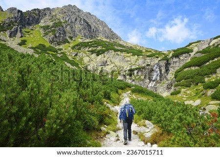 Tourist in the Mlynicka Valley, Vysoke Tatry (Tatra Mountains), Slovakia. Stock photo © 