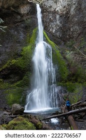 A Tourist Near Marymere Falls, Olympic Peninsula, WA, USA